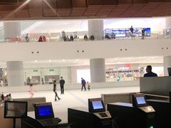 -TheRink大零溜冰场(IFS国金中心店)