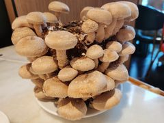 活体菌菇-煲宫猪肚鸡(晶品店)