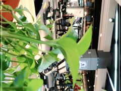 -银吉姆健身(景城邻里中心馆)
