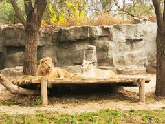 -北京野生动物园