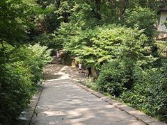 -宋宴(虎跑店)