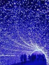 -绿野星空儿童乐园