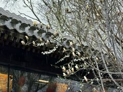 -三里河公园
