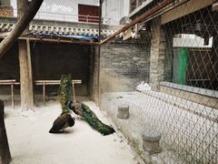 -罔极寺