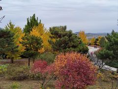 -北京西山国家森林公园