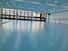 -西安小天鹅艺术团(曲江Alice店)