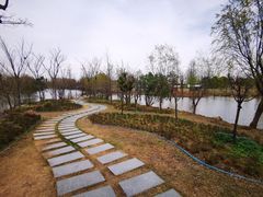 -上海长兴岛郊野公园