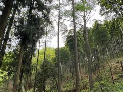 -莫干山风景区