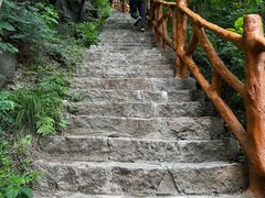 -和众大油条(维明路店)