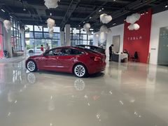 -TESLA 特斯拉(深圳观澜特斯拉直营钣喷中心)
