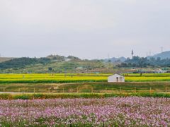 -光明小镇欢乐田园