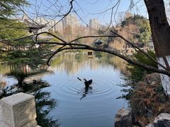 -水绘园