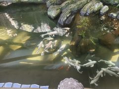 -世界地热博览园