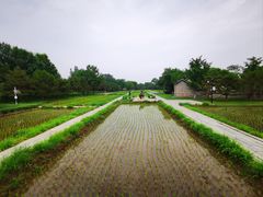 -北坞公园