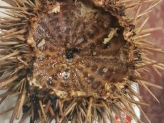 -抹直口特色菜馆(一店)