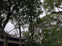 -天一阁博物院
