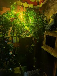 -疯狂冒险家-亲子密室-东坝店(金隅嘉品店)