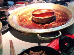 -新哥老官·畅吃123·美蛙世界(苏宁广场店)