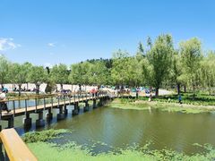 -东郊湿地公园