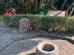 -上海佘山国家森林公园天马山园