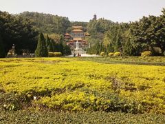 -南沙天后宫景区