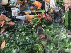 -秦美花卉(天朗·莱茵小城2期店)