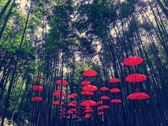 -仙岛湖旅游风景区