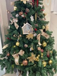 -DR钻戒(杭州星光大道店)