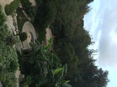 iphone_upload_pic-厦门园林植物园-植物园滴水山房