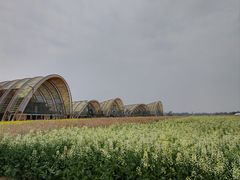 -中国天府农业博览园