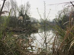 -桤木河湿地公园