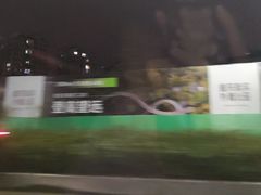 -重庆国际马戏城