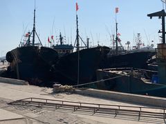 -青岛沙子口国家中心渔港