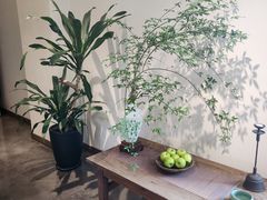 -墨宴(西洋湖店)
