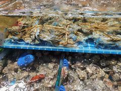 -渔人湾码头海鲜市场负二楼