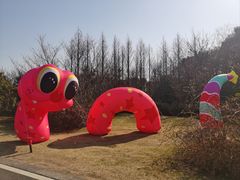 -同里国家湿地公园