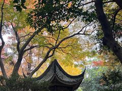 -苏州大学(天赐庄校区)