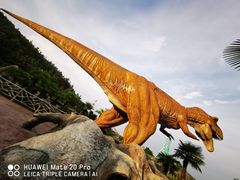 -南京银杏湖乐园