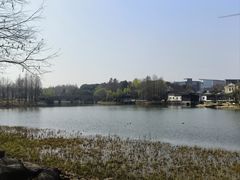 -尚贤河湿地