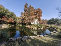 -上海共青森林公园