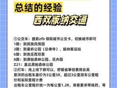 -基诺山寨.版纳民族特色菜