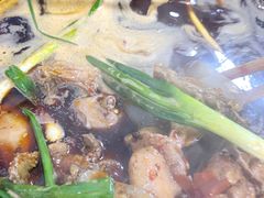 -石灰市毛记烧鸡公(解放碑店)