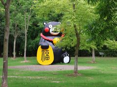 -上海海湾国家森林公园