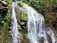 -藏龙百瀑风景区