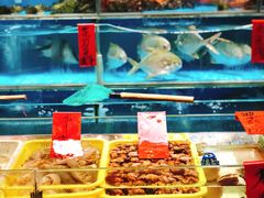 -强记海鲜·大排档(蛇口新街店)