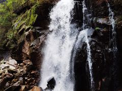 -大鄣山卧龙谷景区