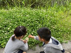 -太阳岛度假酒店