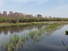 -前关湿地公园