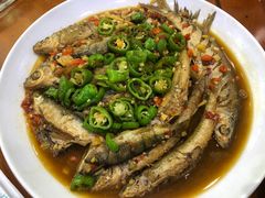 -全乐鱼馆·淳牌有机鱼直营店