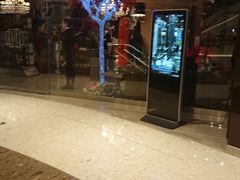 -苏浙总会(国金中心店)